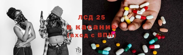 крисы Беломорск