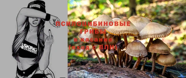 крисы Беломорск